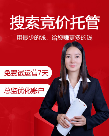 競(jìng)價(jià)優(yōu)化案例